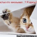 ���� �����, ����������� - ��������� 5 ���� 2018 � ������ ���� ����������