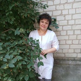 ���� �����, ������� - ��������� 2 ������� 2017