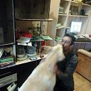  ,  -  24  2018    !)