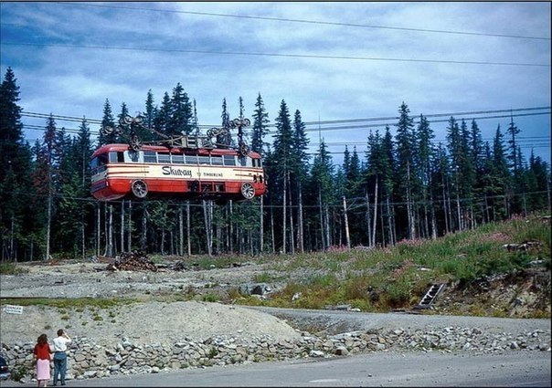 1951 . .    .