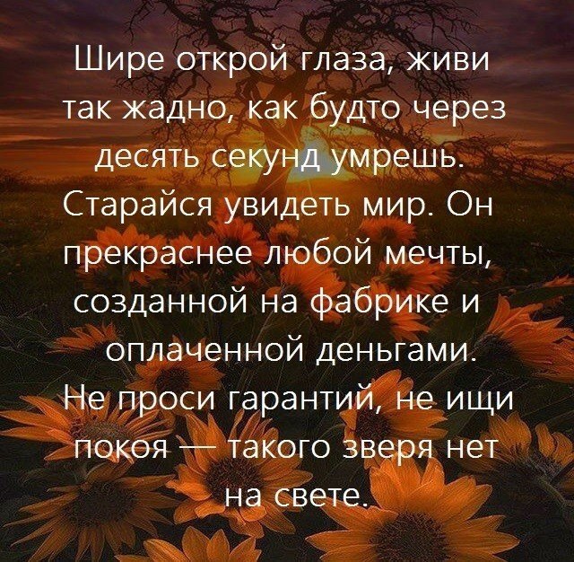     - 25  2018  03:53