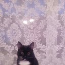  O, , 42  -  10  2018    