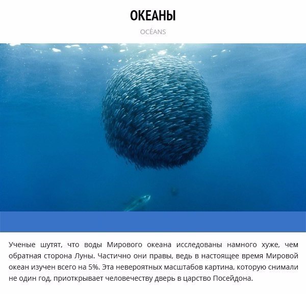 10 - ,       . - 7