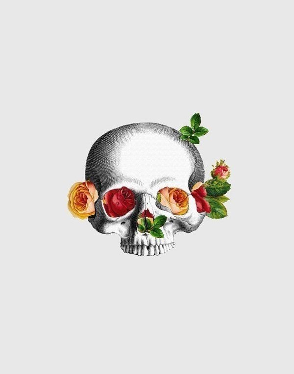   Anatomy & Roses (