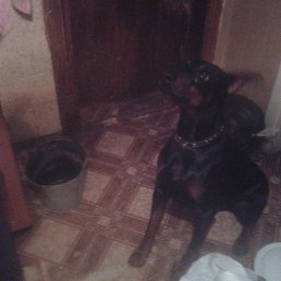 ����, ����, 46 ���