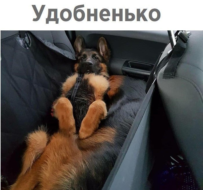    :D - 9  2018  03:36