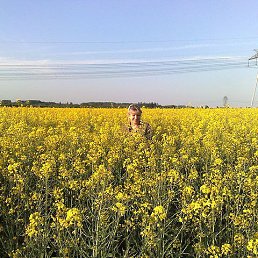 Lili, �������