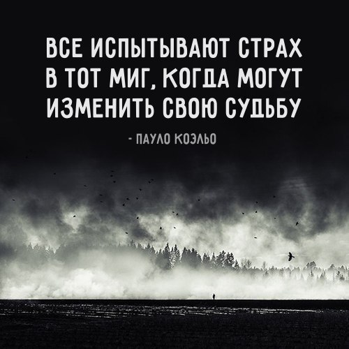  | ,  - 23  2017  03:31
