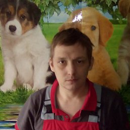, , 41 