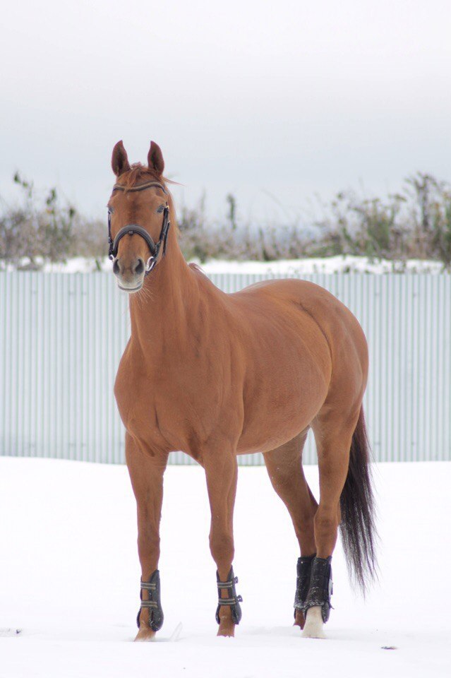    !  !   .  200  ... - 6