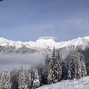 ���� ����, ����, 36 ��� - ��������� 26 ������ 2018 � ������ ���� ����������