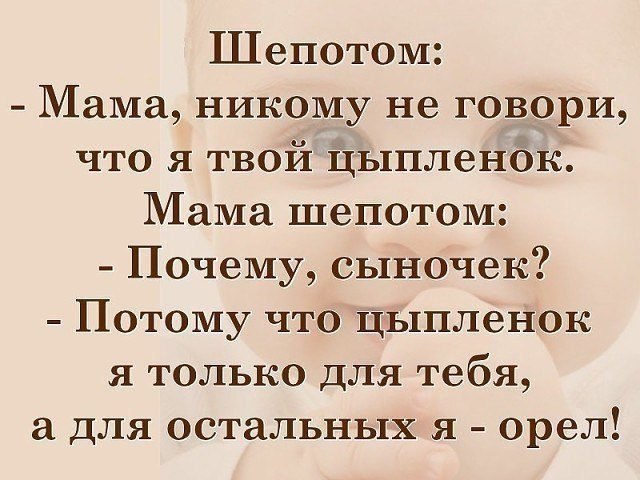   -   - 12  2018  02:38