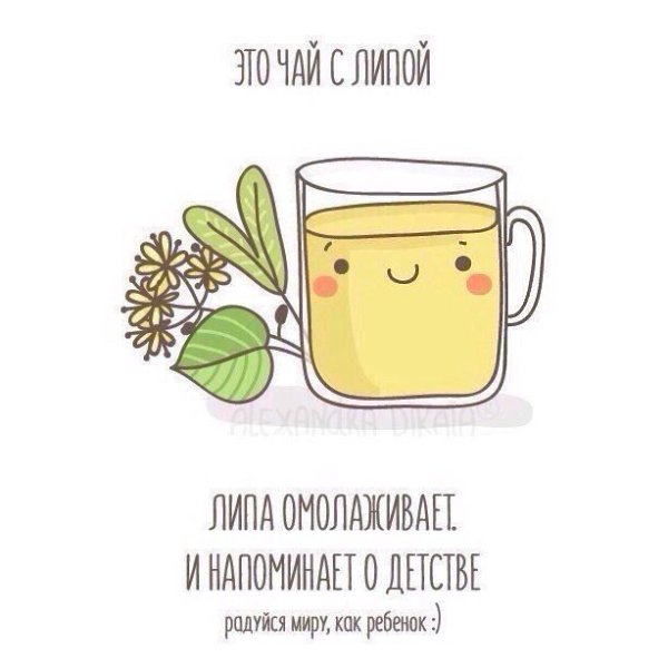 Самое время греться теплым чаем.#инфографика@bon - 4