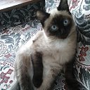 ���� Xorston, ������� - ��������� 12 ���� 2018 � ������ ���� ����������