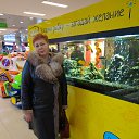  , -, 54  -  10  2018    