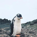 ���� ���, �����-��������� - ��������� 13 ������� 2018 � ������ ������ ��������