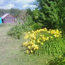 ���� �������, �����-���������, 73 ���� - ��������� 26 ������� 2017 � ������ ���� ����������