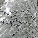 ���� ������, ������ - ��������� 20 ������� 2018 � ������ ������ ��������