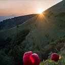 ���� Eli, ������������ - ��������� 16 ������ 2018