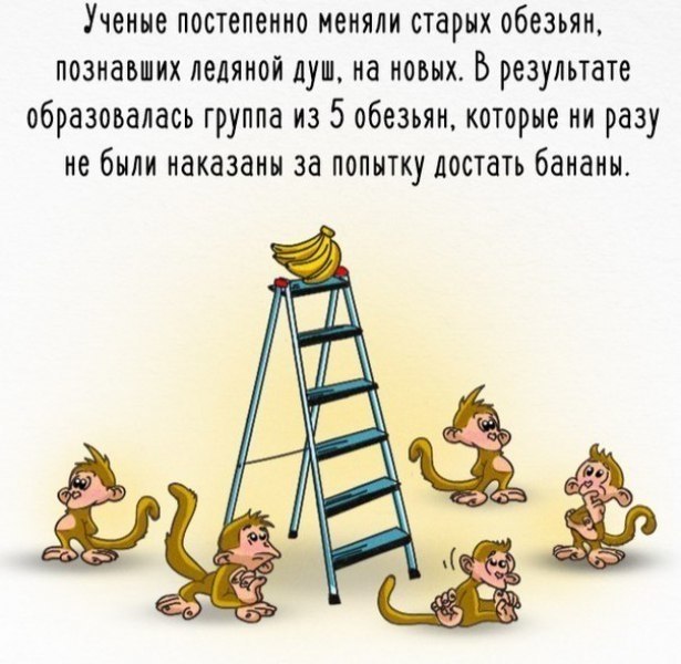        . - 8