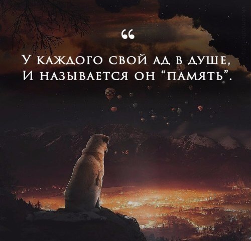 , , , ,  - 29  2017  03:27