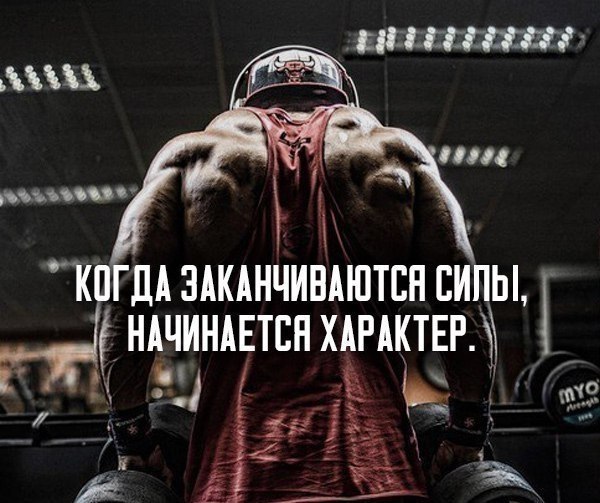  -   - 17  2017  05:03