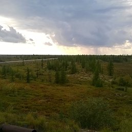 ���������, ������, 53 ����