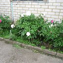 ���� ���������, �������������, 68 ��� - ��������� 27 ��� 2018 � ������ ���� ����������