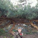 ���� �������, ���������, 51 ��� - ��������� 3 ������ 2018 � ������ ���� ����������