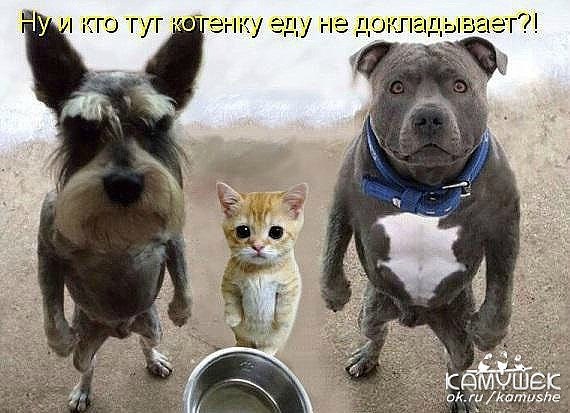��������� �������� �����)).���������� :)#������� #������� - 5