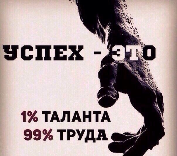  -   - 7  2017  03:29