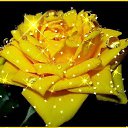 ���� ����, ����� - ��������� 28 ���� 2018