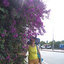 ���� ��������, �����������, 65 ��� - ��������� 6 ������� 2017 � ������ ���� ����������