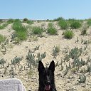 ���� ����, �����, 55 ��� - ��������� 4 ���� 2018 � ������ ���� ����������