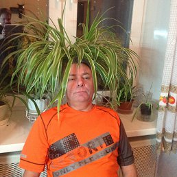 ���� ������, ������, 58 ��� - ��������� 27 ��� 2018