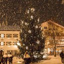 ���� �����, ����, 40 ��� - ��������� 25 ������ 2017 � ������ �����