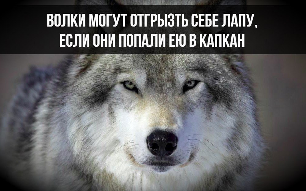   :    - 1  2017  03:38