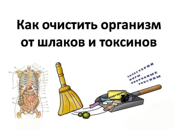 �� ������