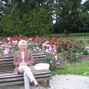 ���� ���������, ����� - ��������� 14 ������ 2018 � ������ ���� ����������