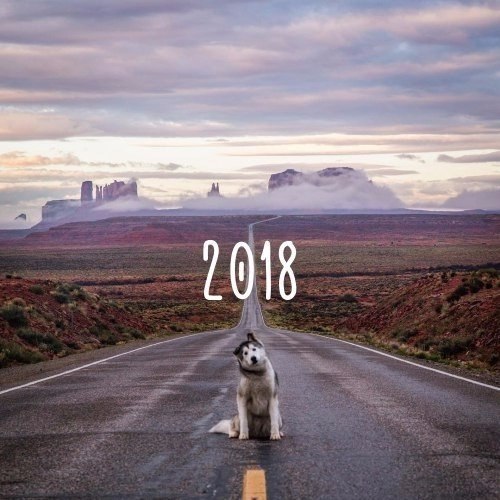   2018!