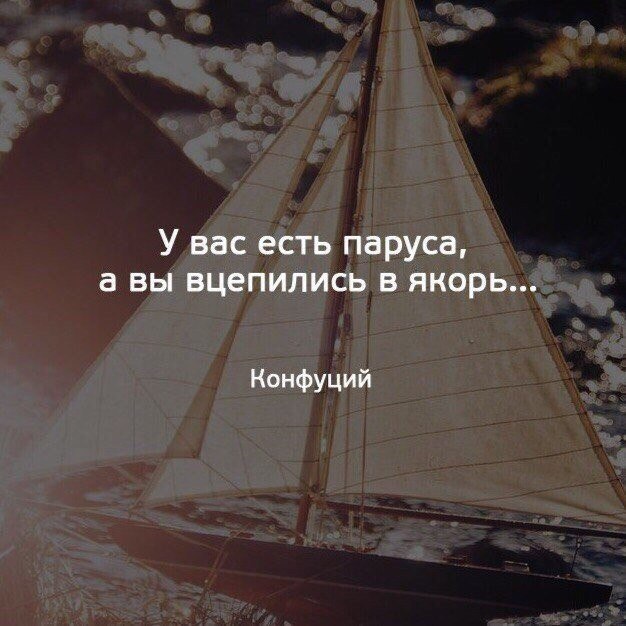 BEST | , ,  - 23  2017  03:31
