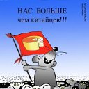 ���� ����������, �����, 55 ��� - ��������� 4 ������ 2018 � ������ ������ ��������