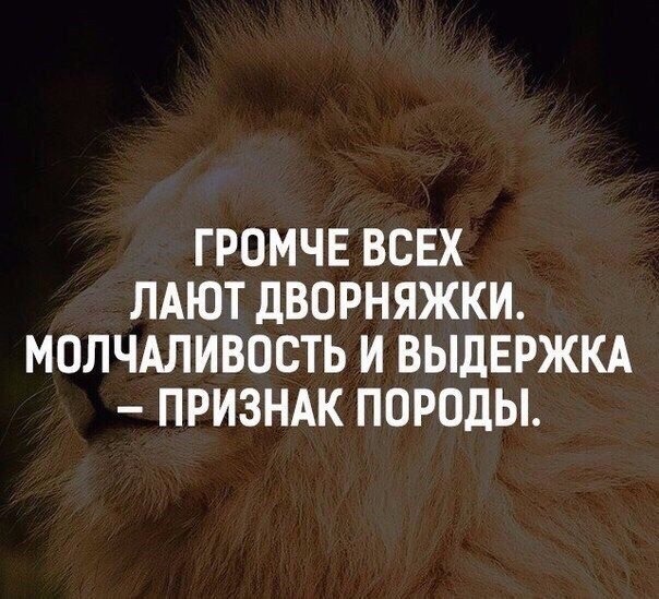 BEST | , ,  - 26  2018  03:38