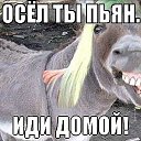 ���� �����, ������ �������� - ��������� 28 ������ 2017 � ������ �������
