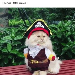 ����, ������