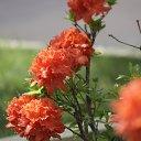  , , 68  -  23  2018    2018