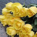 ��� ����� ��� !!! �� ������� ������ ��������