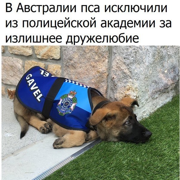   -   - 13  2017  03:31