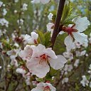 ���� �������, ��������, 41 ��� - ��������� 26 ��� 2018 � ������ �2018�