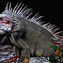 ���� �����, �����������, 57 ��� - ��������� 19 ����� 2018 � ������ ���� ����������